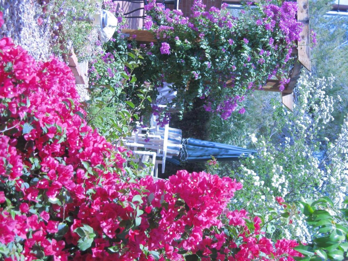 Bed & Breakfast Mon Ami 3*